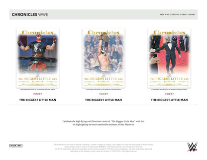 2023 Panini Chronicles WWE Hobby - Columbia Hobby - Sports Card Boxes - Toploaders - Card Savers