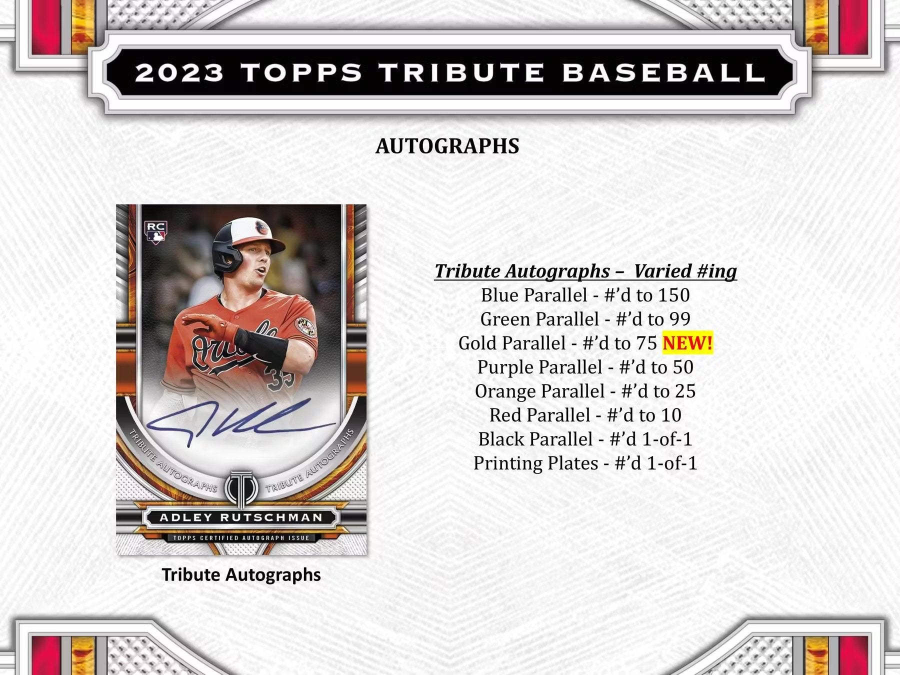 2023 Topps Tribute Baseball Hobby Box - Columbia Hobby - Sports Card Boxes - Toploaders - Card Savers