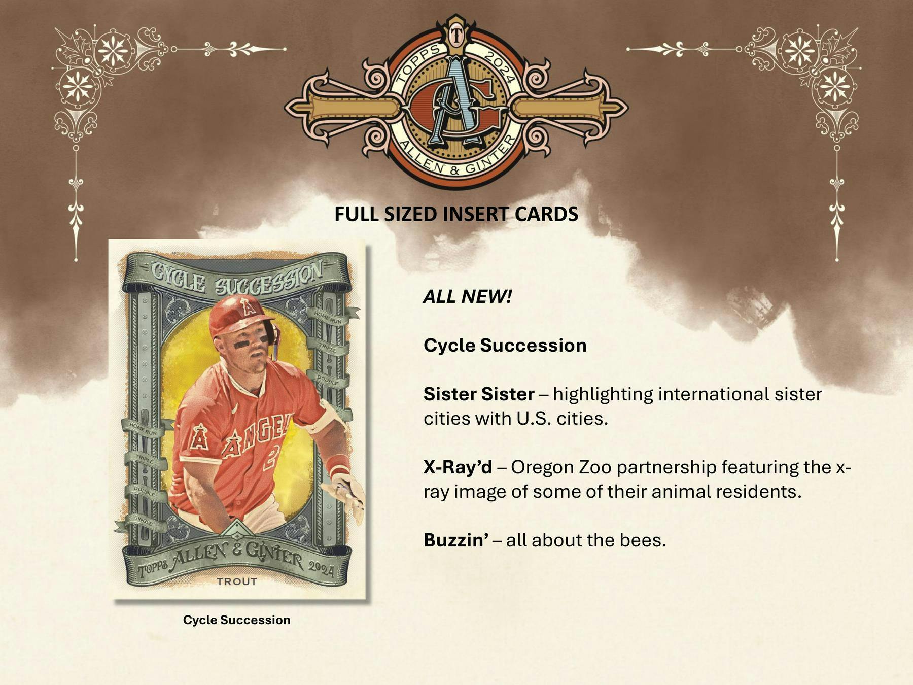 2024 Topps Allen & Ginter Baseball Hobby Box - Columbia Hobby - Sports Card Boxes - Toploaders - Card Savers
