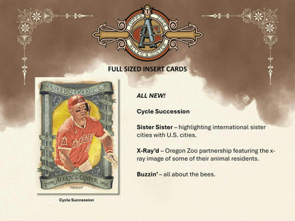 2024 Topps Allen & Ginter Baseball Hobby Box - Columbia Hobby - Sports Card Boxes - Toploaders - Card Savers