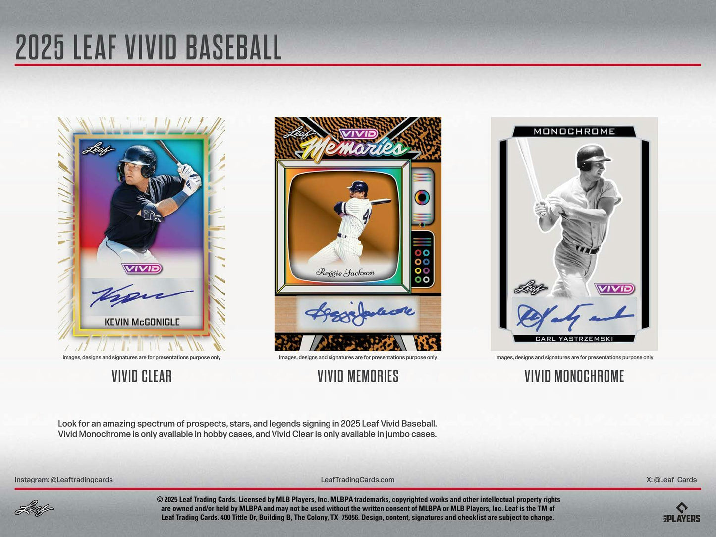 2025 Leaf Vivid Baseball Hobby Box | Columbia Sports Cards - Columbia Hobby - Sports Card Boxes - Toploaders - Card Savers